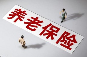 国产毛片久久久久久国产毛片,历史与现状的交织